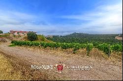 ORGANIC WINE ESTATE WITH 96 HA OF VINEYARDS FOR SALE IN MAREMMA, TUSCANY