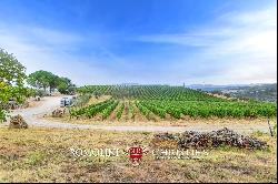 ORGANIC WINE ESTATE WITH 96 HA OF VINEYARDS FOR SALE IN MAREMMA, TUSCANY