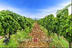 ORGANIC WINE ESTATE WITH 96 HA OF VINEYARDS FOR SALE IN MAREMMA, TUSCANY