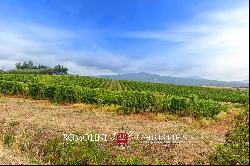 ORGANIC WINE ESTATE WITH 96 HA OF VINEYARDS FOR SALE IN MAREMMA, TUSCANY