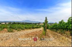 ORGANIC WINE ESTATE WITH 96 HA OF VINEYARDS FOR SALE IN MAREMMA, TUSCANY