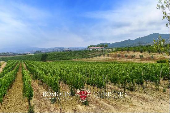 ORGANIC WINE ESTATE WITH 96 HA OF VINEYARDS FOR SALE IN MAREMMA, TUSCANY