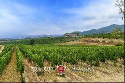 ORGANIC WINE ESTATE WITH 96 HA OF VINEYARDS FOR SALE IN MAREMMA, TUSCANY