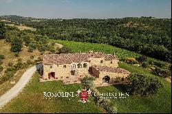 ORCIA DOC WINERY FOR SALE IN TREQUANDA, TOSCANA