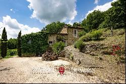 Tuscany - FARMHOUSE WITH PANORAMIC VIEWS FOR SALE IN CASENTINO