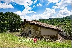 Tuscany - FARMHOUSE WITH PANORAMIC VIEWS FOR SALE IN CASENTINO