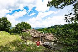 Tuscany - FARMHOUSE WITH PANORAMIC VIEWS FOR SALE IN CASENTINO