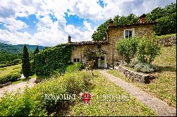 Tuscany - FARMHOUSE WITH PANORAMIC VIEWS FOR SALE IN CASENTINO