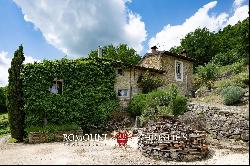 Tuscany - FARMHOUSE WITH PANORAMIC VIEWS FOR SALE IN CASENTINO