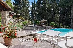 Chianti - PERIOD VILLA WITH POOL FOR SALE IN TUSCANY