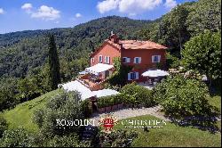 Tuscany - RESTORED VILLA WITH PANORAMIC VIEWS AND SWIMMING POOL IN FLORENCE