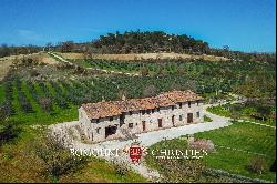 RUSTIC RESTORED FARMHOUSE WITH OLIVE GROVE FOR SALE IN UMBRIA