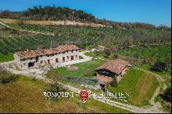 RUSTIC RESTORED FARMHOUSE WITH OLIVE GROVE FOR SALE IN UMBRIA