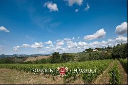 Lake Trasimeno - WINERY WITH CHARMING MANSION AND RESTAURANT FOR SALE IN UMBRIA