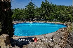 CASTLE FOR SALE IN A PANORAMIC POSITION IN CHIANTI CLASSICO