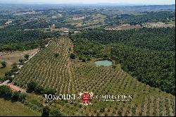 Val d'Orcia - FARMHOUSE WITH ORGANIC OLIVE GROVE FOR SALE IN TUSCANY