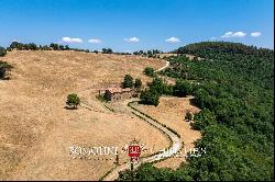 Umbria - PANORAMIC FARMHOUSE FOR SALE IN THE NESTORE VALLEY