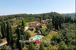 ORGANIC 180-HA WINE ESTATE FOR SALE IN AREZZO, TUSCANY