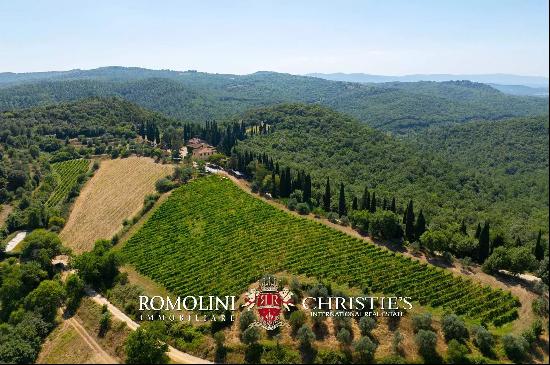 ORGANIC 180-HA WINE ESTATE FOR SALE IN AREZZO, TUSCANY