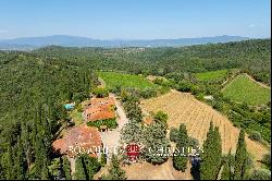 ORGANIC 180-HA WINE ESTATE FOR SALE IN AREZZO, TUSCANY