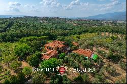 WINE AND OIL ESTATE FOR SALE IN TUSCANY, VALDARNO