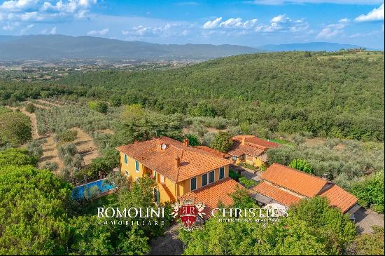 WINE AND OIL ESTATE FOR SALE IN TUSCANY, VALDARNO