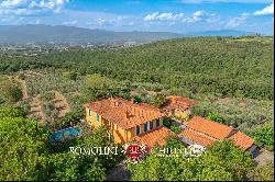 WINE AND OIL ESTATE FOR SALE IN TUSCANY, VALDARNO