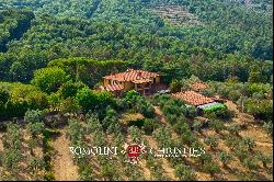 WINE AND OIL ESTATE FOR SALE IN TUSCANY, VALDARNO