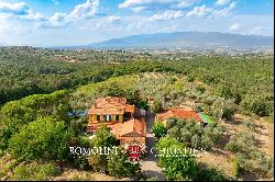 WINE AND OIL ESTATE FOR SALE IN TUSCANY, VALDARNO