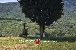 ORRGANIC WINE ESTATE FOR SALE IN ORVIETO, UMBRIA