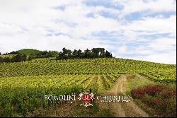 ORRGANIC WINE ESTATE FOR SALE IN ORVIETO, UMBRIA