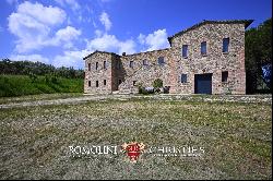 ORRGANIC WINE ESTATE FOR SALE IN ORVIETO, UMBRIA