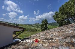 ORRGANIC WINE ESTATE FOR SALE IN ORVIETO, UMBRIA