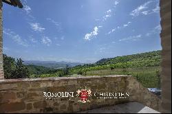 ORRGANIC WINE ESTATE FOR SALE IN ORVIETO, UMBRIA