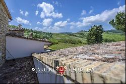 ORRGANIC WINE ESTATE FOR SALE IN ORVIETO, UMBRIA