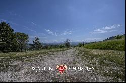 ORRGANIC WINE ESTATE FOR SALE IN ORVIETO, UMBRIA