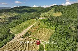 WINE ESTATE WITH 13.3 HA OF VINEYARDS FOR SALE, CHIANTI RUFINA