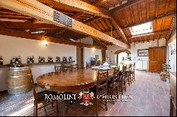 WINE ESTATE WITH 13.3 HA OF VINEYARDS FOR SALE, CHIANTI RUFINA