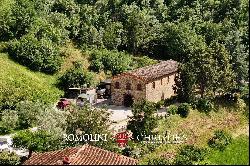 WINE ESTATE WITH 13.3 HA OF VINEYARDS FOR SALE, CHIANTI RUFINA