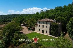 ORGANIC ESTATE WITH AGRITURISMO AND OLIVE GROVE FOR SALE BETWEEN UMBRIA AND LAZIO