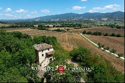 ORGANIC ESTATE WITH AGRITURISMO AND OLIVE GROVE FOR SALE BETWEEN UMBRIA AND LAZIO