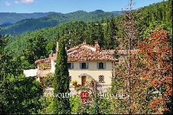 MANORIAL VILLA WITH VINEYARDS FOR SALE IN CHIANTI RUFINA, TUSCANY