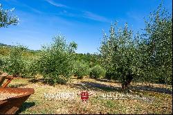 BOUTIQUE WINERY FOR SALE IN CHIANTI CLASSICO, TUSCANY