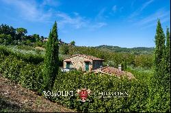 BOUTIQUE WINERY FOR SALE IN CHIANTI CLASSICO, TUSCANY