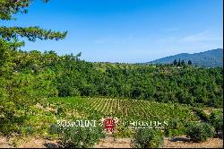 BOUTIQUE WINERY FOR SALE IN CHIANTI CLASSICO, TUSCANY