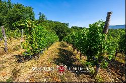 BOUTIQUE WINERY FOR SALE IN CHIANTI CLASSICO, TUSCANY