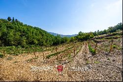 BOUTIQUE WINERY FOR SALE IN CHIANTI CLASSICO, TUSCANY