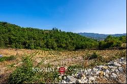 BOUTIQUE WINERY FOR SALE IN CHIANTI CLASSICO, TUSCANY