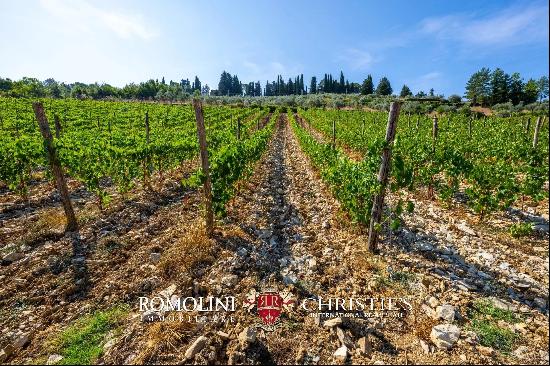 BOUTIQUE WINERY FOR SALE IN CHIANTI CLASSICO, TUSCANY