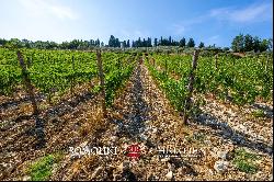 BOUTIQUE WINERY FOR SALE IN CHIANTI CLASSICO, TUSCANY